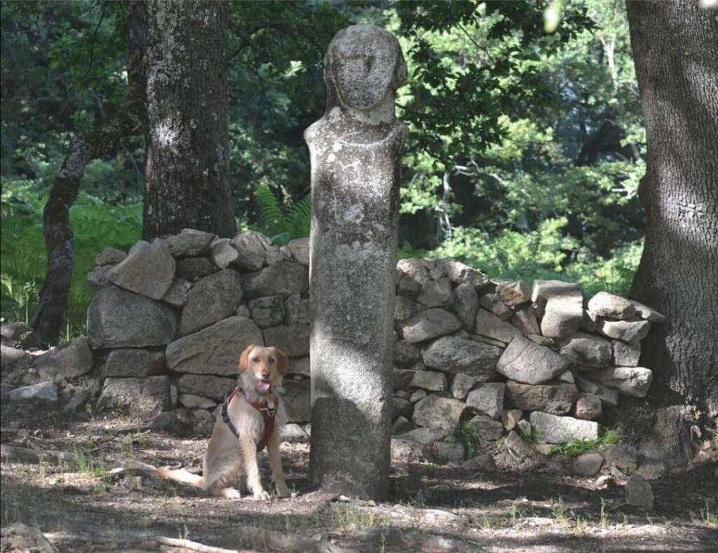 statue menhir de tavera avec chien