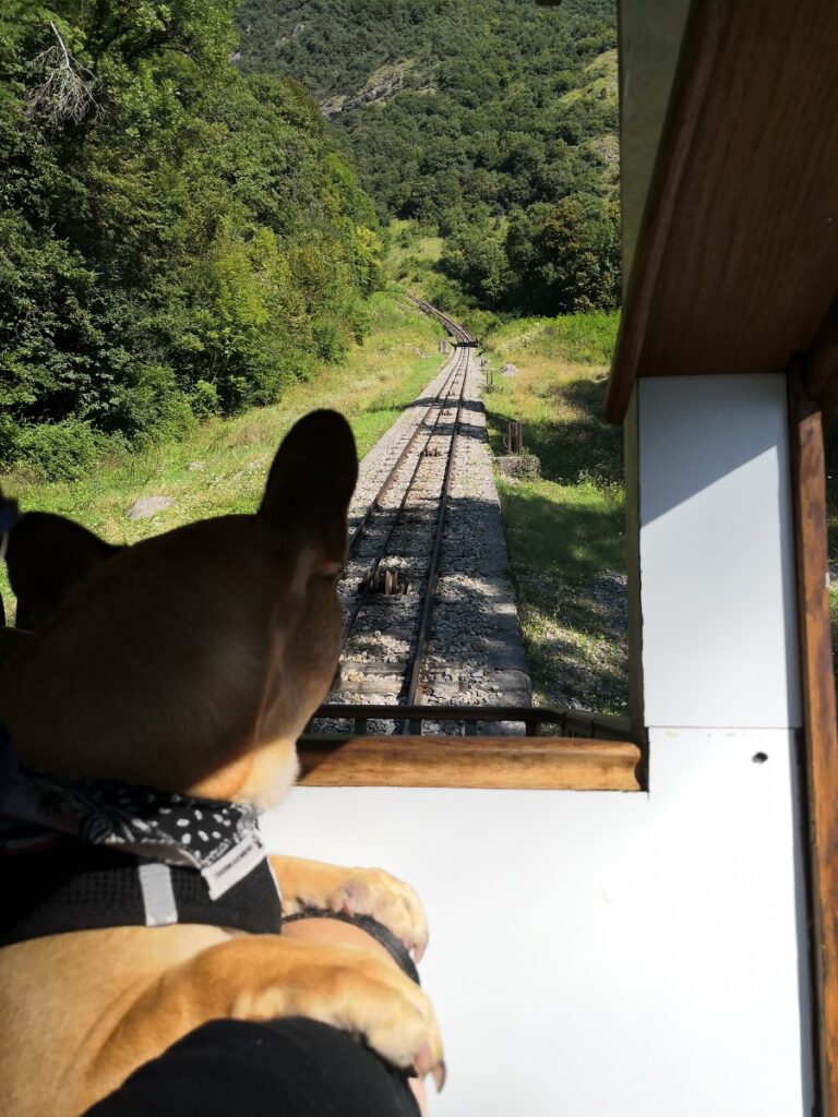 funiculaire de saint hilaire chien accepté