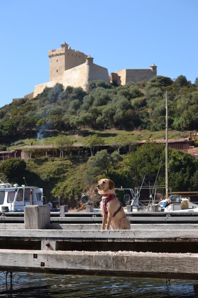 girolata avec chien