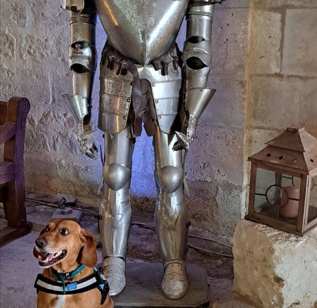 Château de Villebois-Lavalette avec chien vacance charente