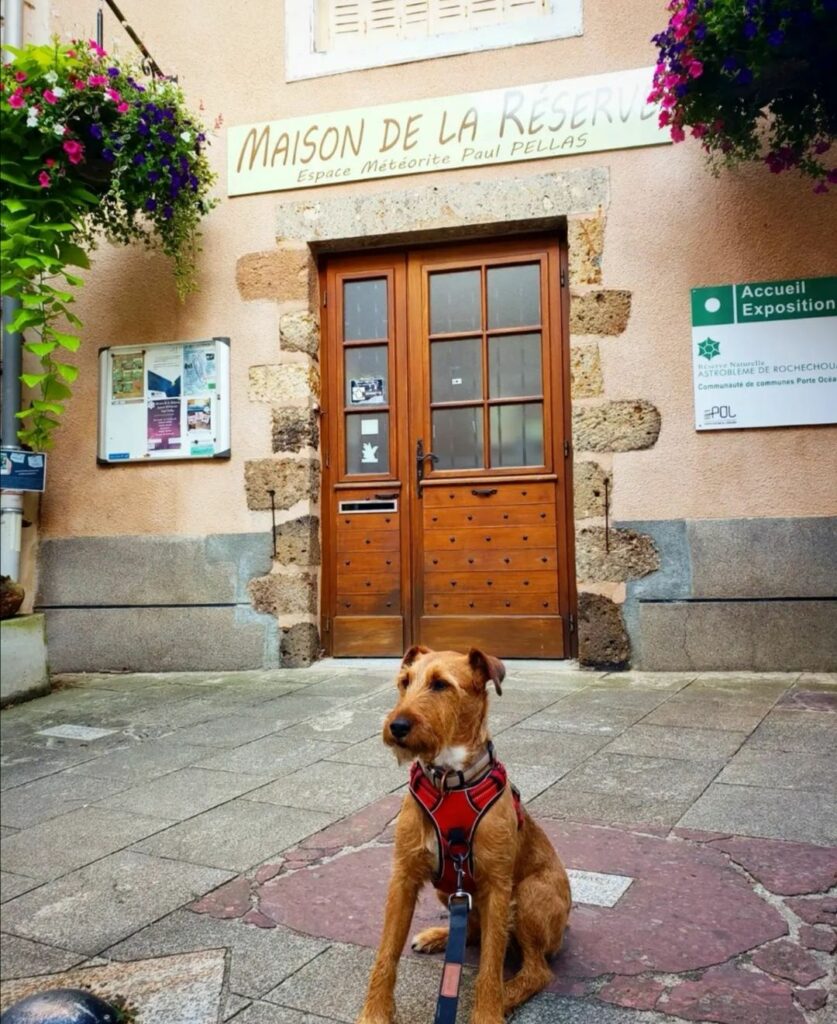 visite musée avec chien haute vienne limousin Maison de La Réserve – Espace Météorite