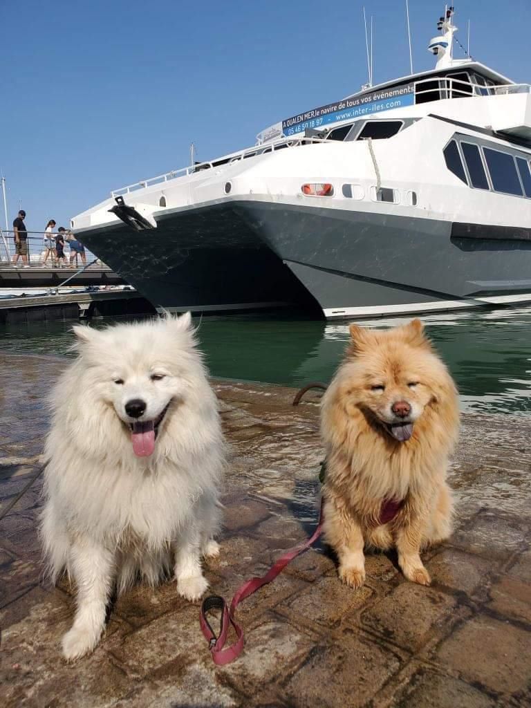 Croisières Inter-îles (La Rochelle / Vieux Port)