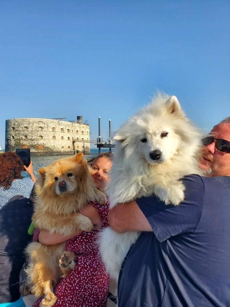 croisières inter-îles accepte chien activité la rochelle