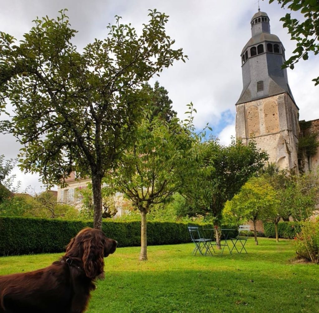 Collège Royal et Militaire de Thiron-Gardais chien accepté