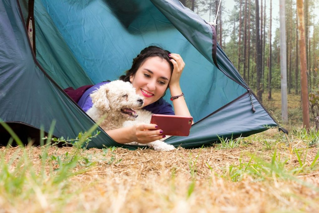 hébergements qui acceptent les chiens camping