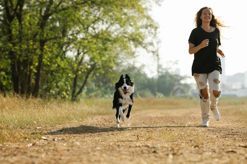 apprendre à courir avec son chien