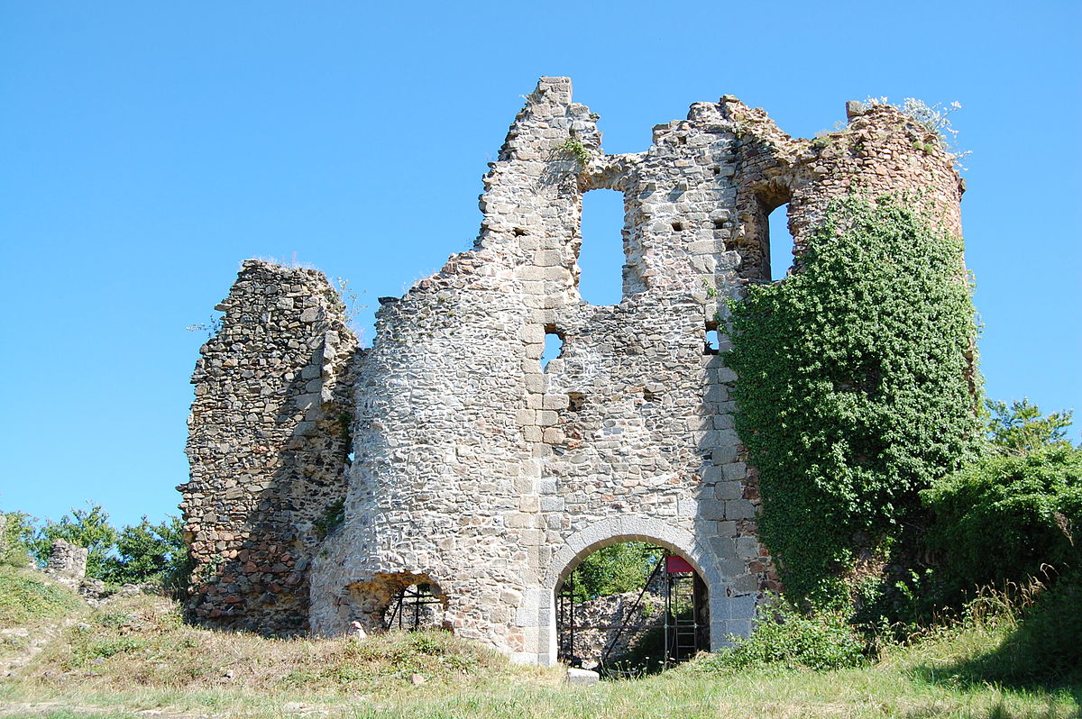 Chateau de Montgilbert chien