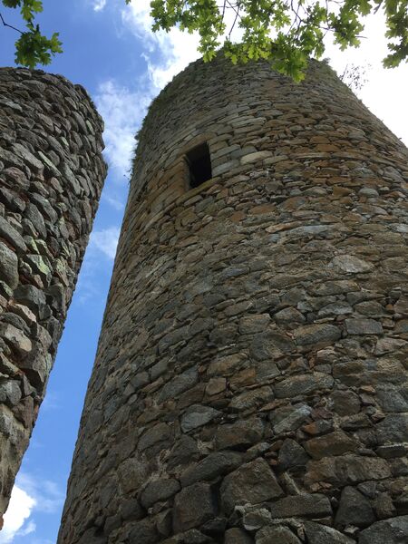 balade château de l'ours allier avec chien