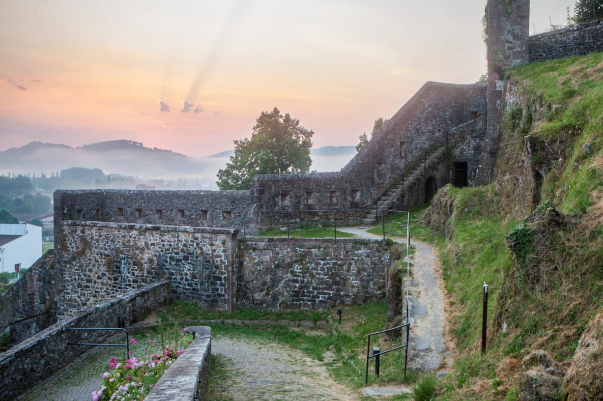 citadelle saint jean pied de port chien