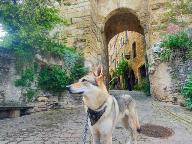 Cordes-sur-Ciel