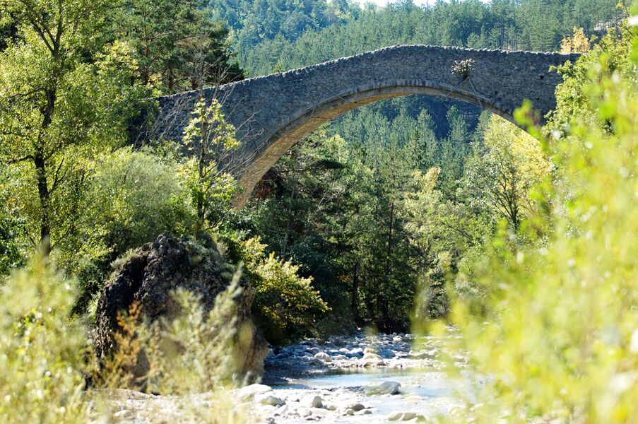 pont de la reine jeanne balade avec chien