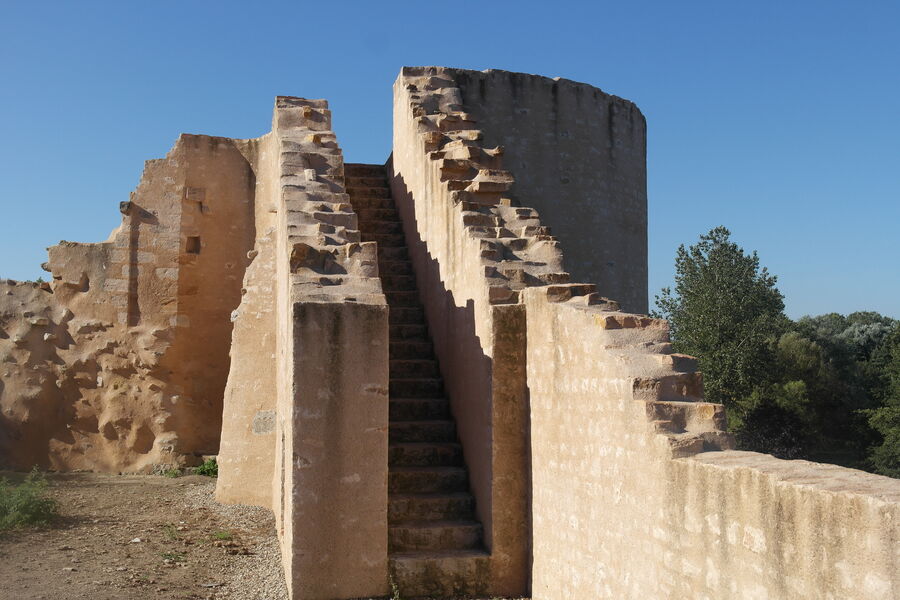 visite ainay le château avec chien