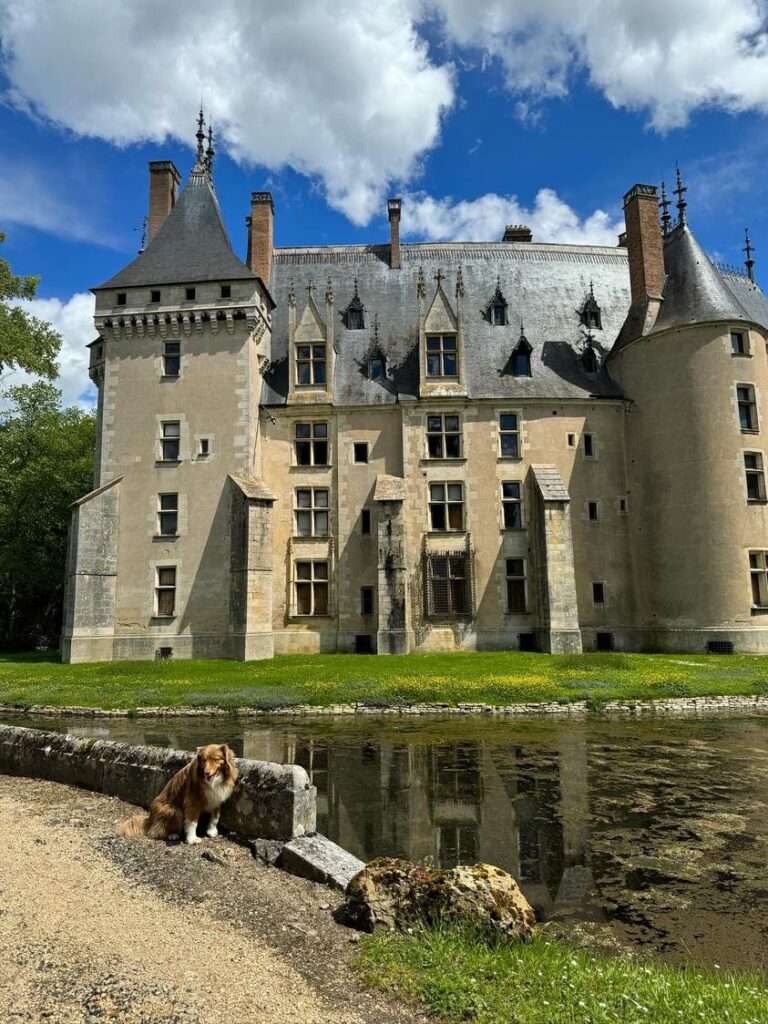 parc du château de Meillant chien accepté vacance région centre