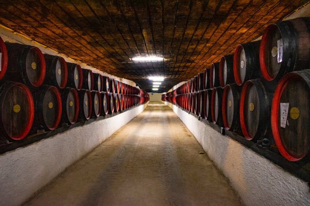 Strasbourg avec son chien visiter une cave