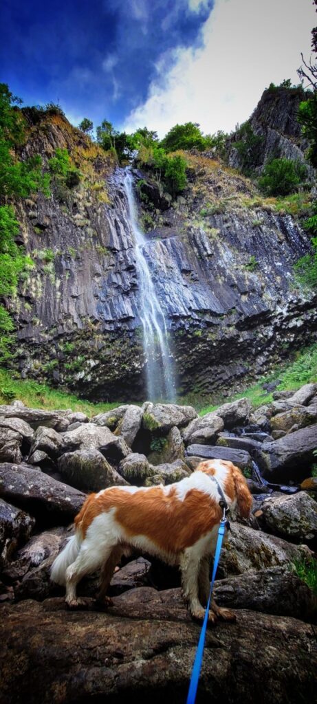 cascade de faillitoux chien cantal