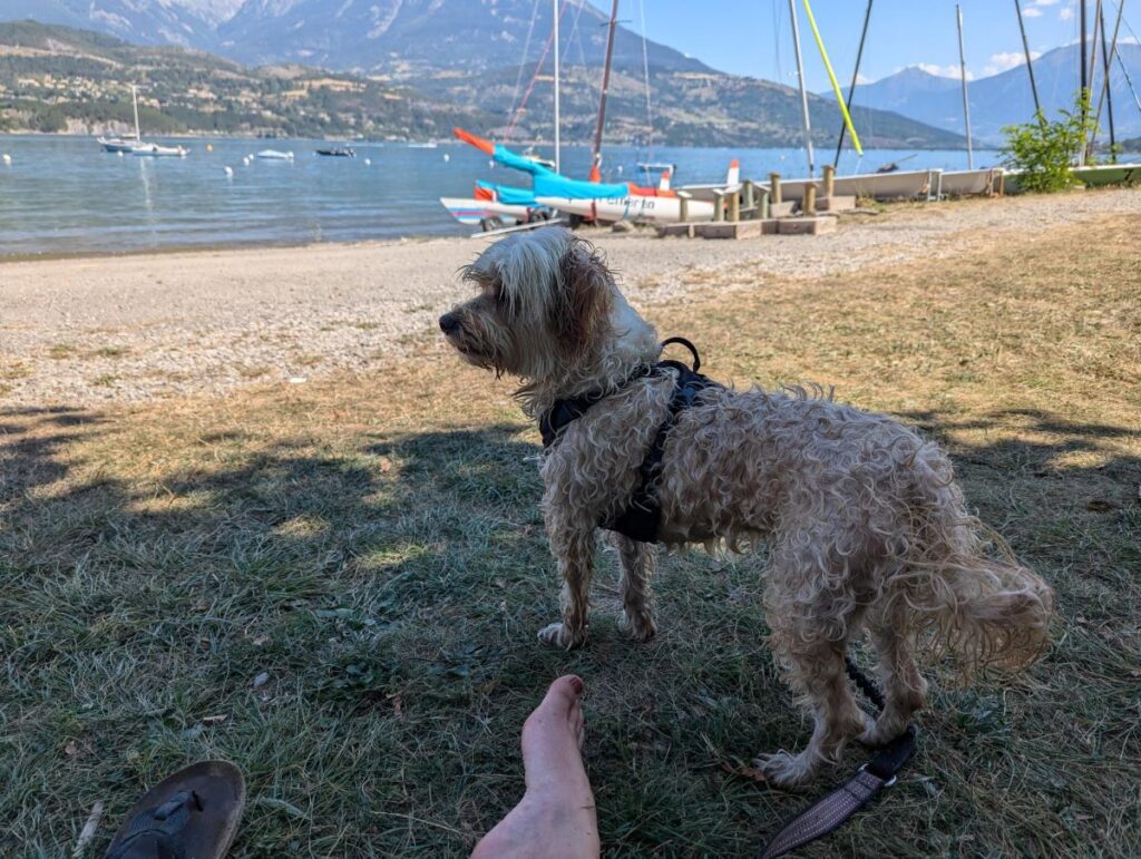 que faire à serre-ponçon avec un chien