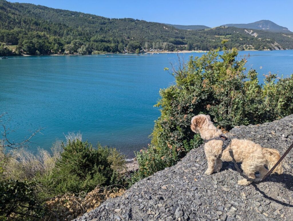 Découvrir Serre-Ponçon avec son chien : le top des activités