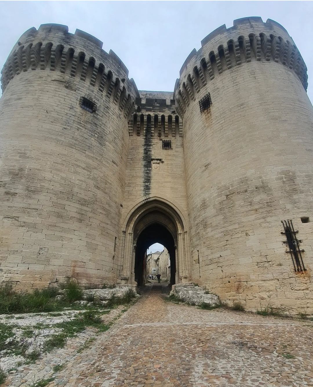 visite avignon chien accepté fort saint-andré