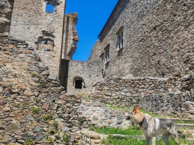 Château de Saissac