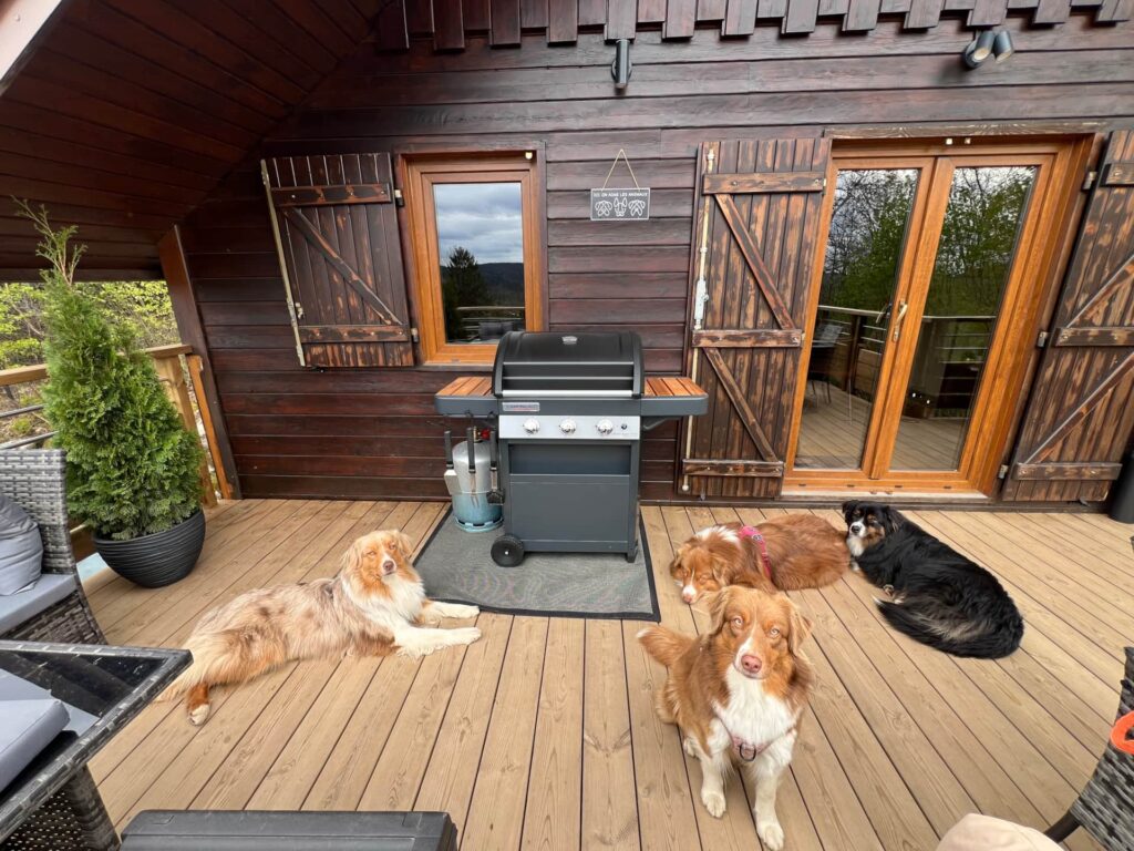 Chalet Peyto hébergement chien accepté vosges avec terrain clôturé roof n'woof