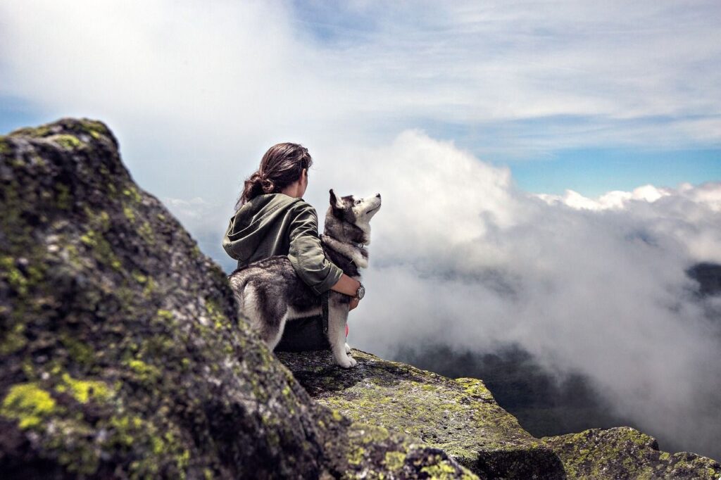 Passeport pour chien : est-ce obligatoire?