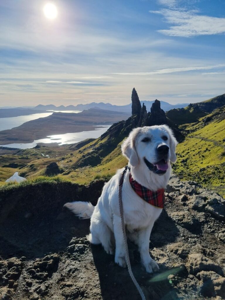 Les plus beaux lieux à visiter en Écosse avec son chien