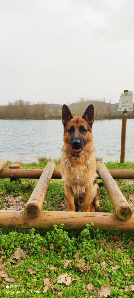 lac de touille chien autorisé en haute garonne