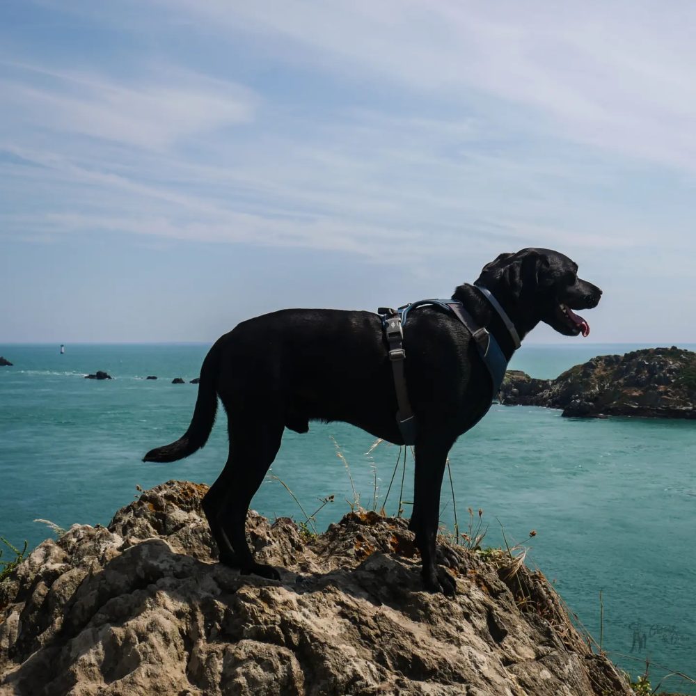 Pointe du Groin